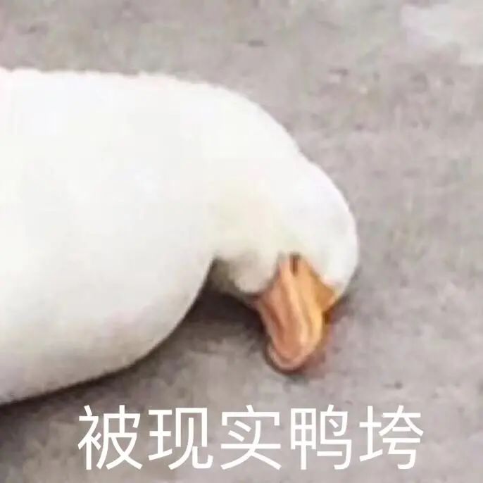 DƬ